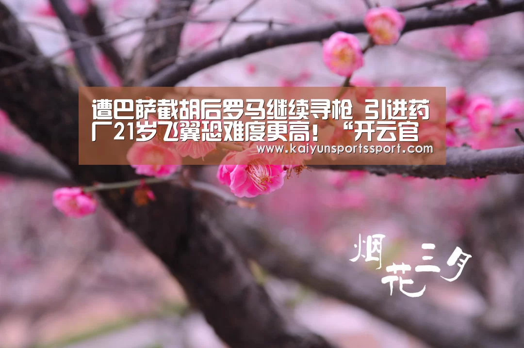 开云体育官方入口